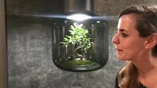 like Kyoto 'gardener' Aki Murase terrariums - space colonies: plantlights - cnn.com