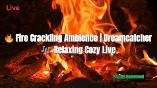 🔥 Fire Crackling Ambience | Dreamcatcher 🎶 | Relaxing Cozy Live
