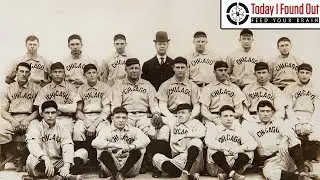 Why the Chicago Cubs are Named After a Baby Bear and The Long, Weird History of Their Mascot