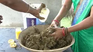 Organic growth promoter for crops (summary)