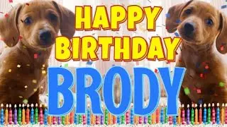 Happy Birthday Brody! ( Funny Talking Dogs ) What Is Free On My Birthday