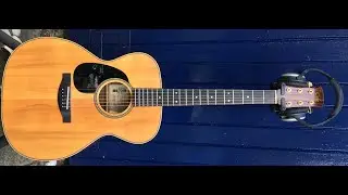Musing with Musicians - Henry Priestman