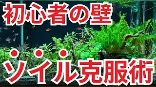 【初心者必見】アクアリウムでソイルを使ってはいけない!? 5つの失敗例から学ぶ正しい使い方