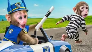 Farm Delivery! Monkey Bon Bon Collects Milk Using a Truck 🥛🚛