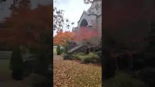 Enjoy the Fall (2022) Walk to Canadian Memorial United Church