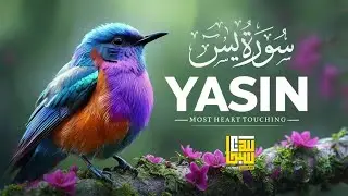 Surah Yaseen سورة يس Reading ✦ Heart Touching Voice for Sleep ✦ Qur'an Recitation For Deep Sleep