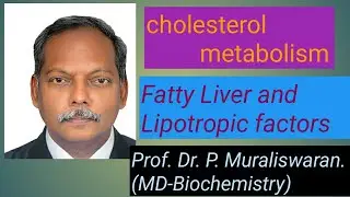 Fatty liver and Lipotropic factors #muralis simplified biochemistry