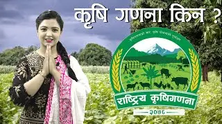 के-के हुन्छ राष्ट्रिय कृषि गणनामा || krishi ganana 2078 Nepal ||