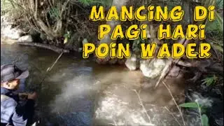 🟡Mancing di pagi hari || sambaran wader mantap