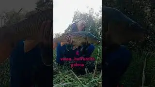 #fishing #nash #carp #carpfishing #fish #primavera  #felicit&agrave; #ridere altra baffufa presa.super top!