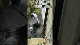 Sewage Overflows happen every day across the uk.Sewage Contamination how to clean sewage 60 seconds