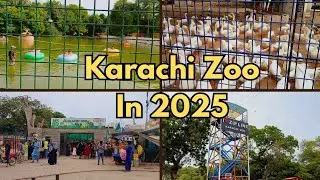 Karachi Zoo Part 1 | Karachi Zoo 2025 | Explore Karachi Zoo