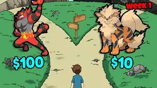 I Was Invited to an Elite YouTuber Pokémon League