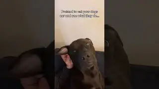 #cute#memes