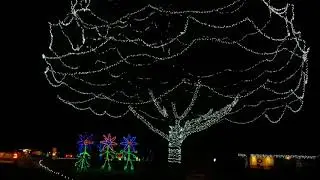 Bull Run Lights Show Festival