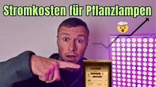 Wie teuer ist der Strom f&uuml;r Pflanzlampen wirklich? 💸🌱