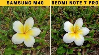 Samsung M40 Vs Redmi Note 7 Pro Detailed CAMERA TEST!!🔥🔥