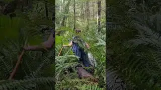 Bushwhacking creek to underneath Sooke Flowline October 2023