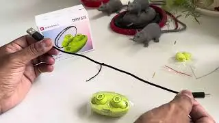 PROTRONICS Earbuds