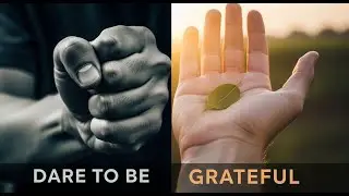 Gratitude Changes Everything  Dare to Be Grateful l Clario Mind