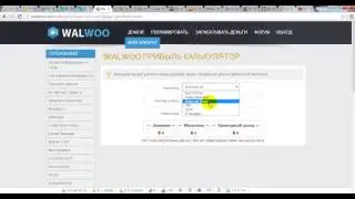 Walwoo презентация нового букса  для заработка