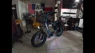 Custom Monkey Faction eBike