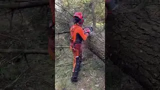 New Husqvarna 564XP #chainsaw #husqvarna #564xp #fuelinjection