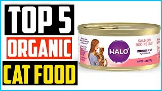 ✅Top 5  Best Organic Cat Food Review in 2024