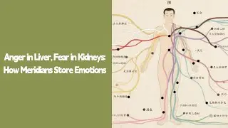 12 Meridians & Emotions: Ancient TCM Emotional Map | Tai Chi for Mood Balance #taichiforhealth