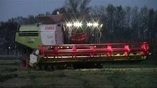 BIGGEST RICE COMBINE HARVESTER in ITALY: 770 TT + V900 [GoPro]