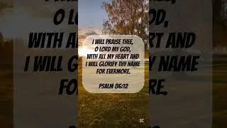 Glorify God with all your heart || Divine Minute #viral #shorts  #christianfaith @divinemercykcgb