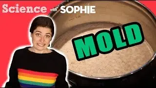 I left soup out too long | MOLD | Gross Science