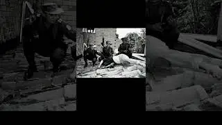 The Death of Pablo Escobar