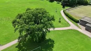01 Cowick Barton Field 02MAY25
