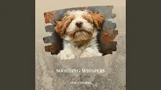 Soothing Whispers