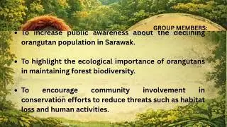Borneo Orangutans Awareness Campaign 
