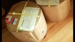 SUPER RARE JDM WHEELS The Great Wheel Reveal!!!