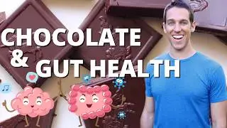 The Benefits of Chocolate for Gut Health