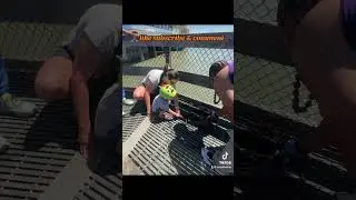 Full video - Seize the day loves the kids #fishing #pierfishing #SFBay #peace #positivevibes