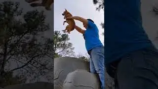 Lion King Moment at the Park 😅 #lionking #mombierella #lionkingmoment