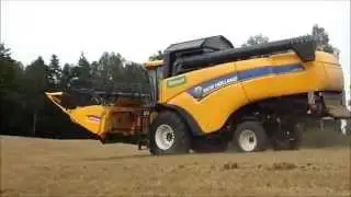 Żniwa 2014/Ernte 2014/Harvest 2014/ New Holland CX6080 New Holland TC5050 Pszenżyto POMORSKIE !!HD!!