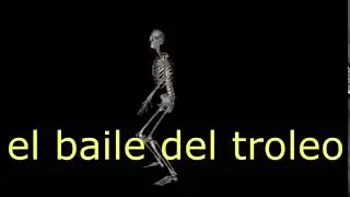 EL BAILE DEL TROLEO - Calaca chida [ORIGINAL]