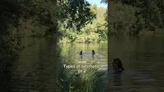 Types of aesthetics.#aesthetic#cottagecore#cottagecoreaesthetic#cottagelife#shorts#cottage#blowup