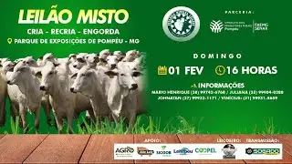 LEILÃO MISTO - ESTÂNCIA MINEIRA LEILÕES E SINDICATO DE POMPÉU/MG - 01/02/2026