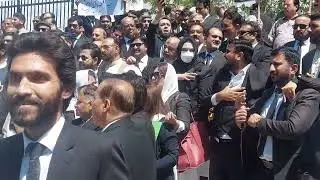 PML(N)Lawyers Protest against the Supreme Court Judges' Decision |Election Date Announced| I ❤️ PTI