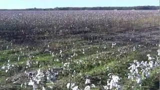 Money, Mississippi: Site of Emmett Till's Murder