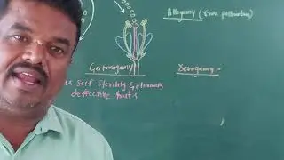 Allogamy,types of allogamy,advantages and disadvantages of allogamy(cross polination)