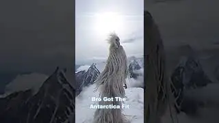 Erosion Bird Antarctica