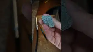 Chasse aux fossiles bient&ocirc;t interdite  ? 🤔