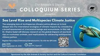 Sea Level Rise and Multispecies Climate Justice Source